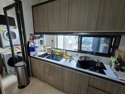 The Trizon (D10), Condominium #519252611